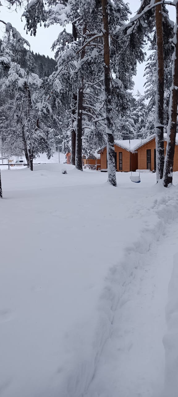 Фото Горное эхо