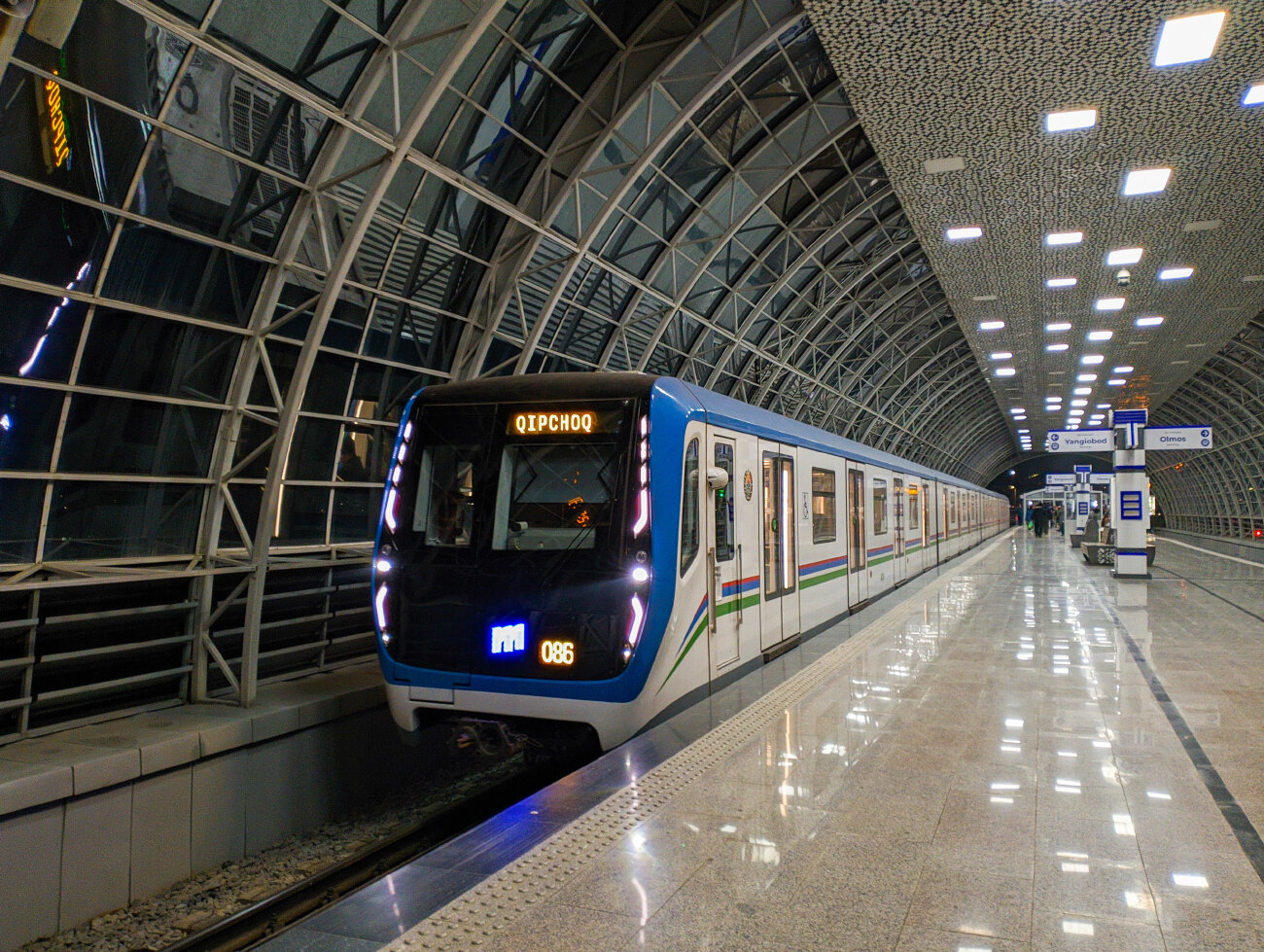 Baliq tarmogida kattalar porno