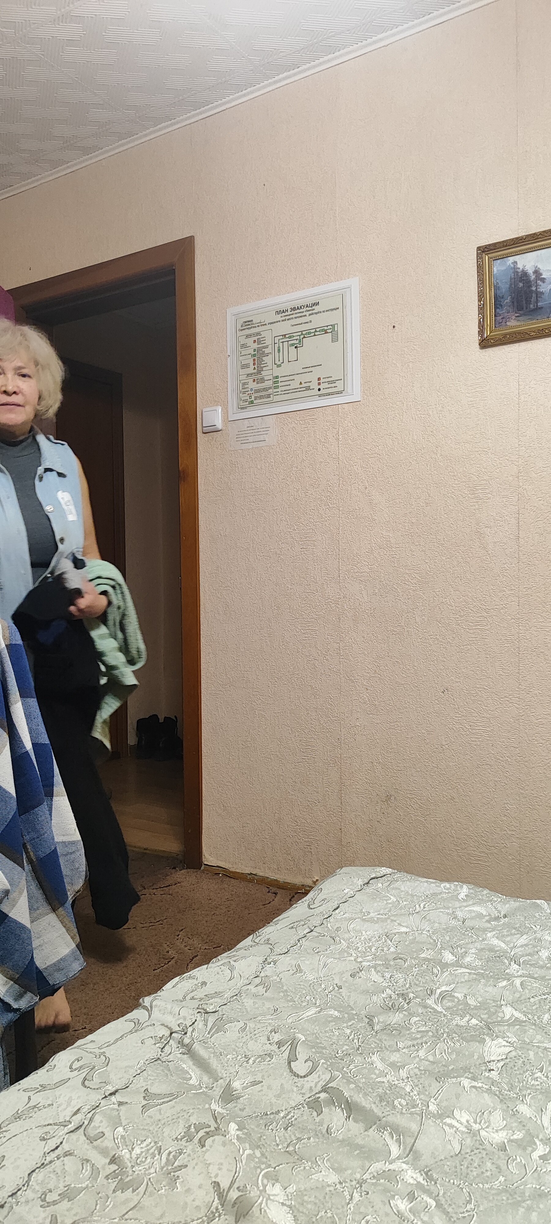 Фото Лаванда