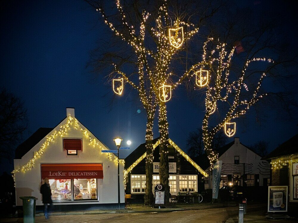 Фото Charming Boutique Guesthouse in Blaricum