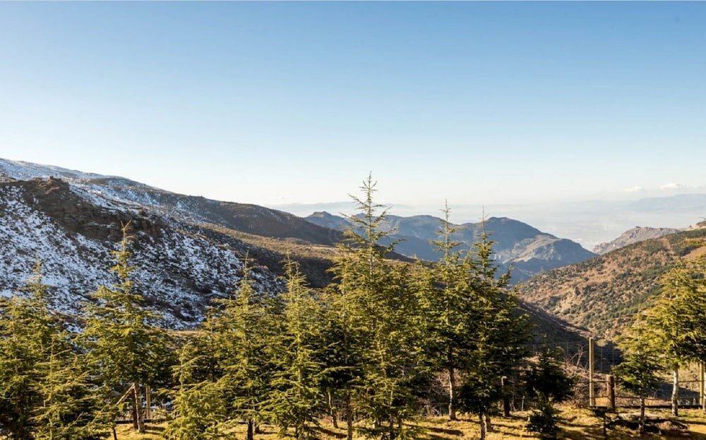 Фото Aparthotel Trevenque