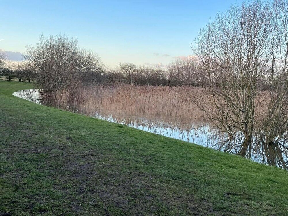 Фото Studio Annex