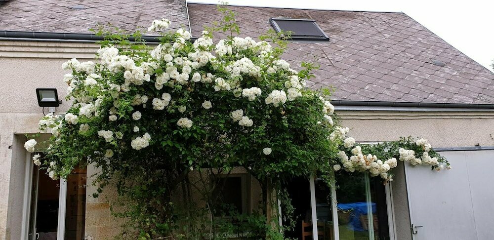 Hotel Coffret d'Avenir, Loiret, photo