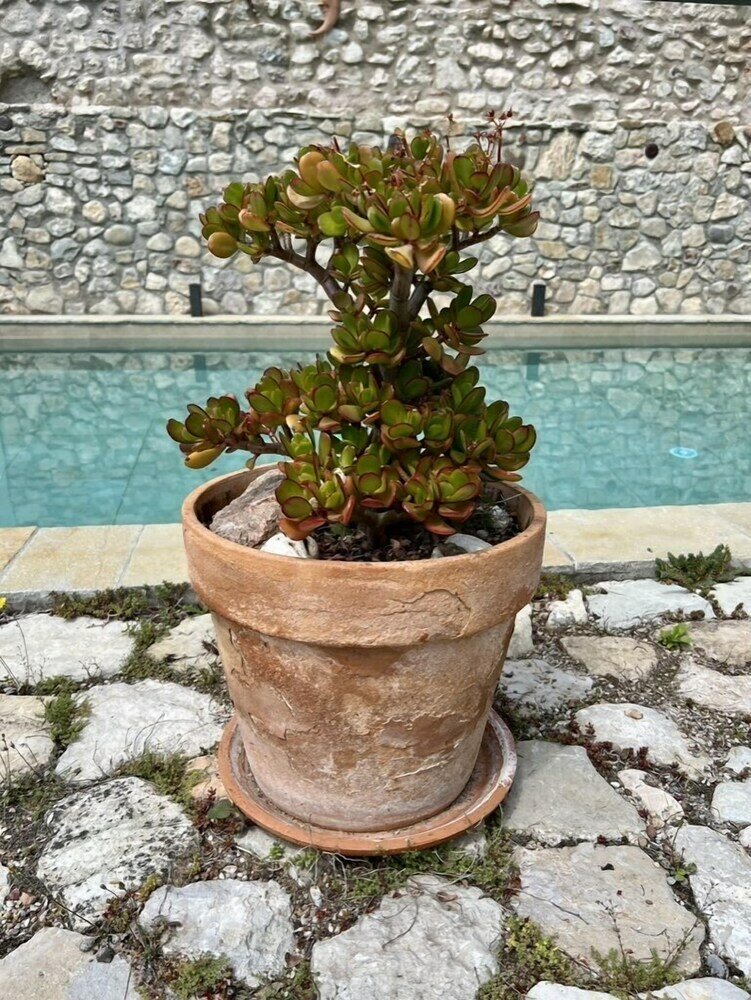 Фото Villa del Lis