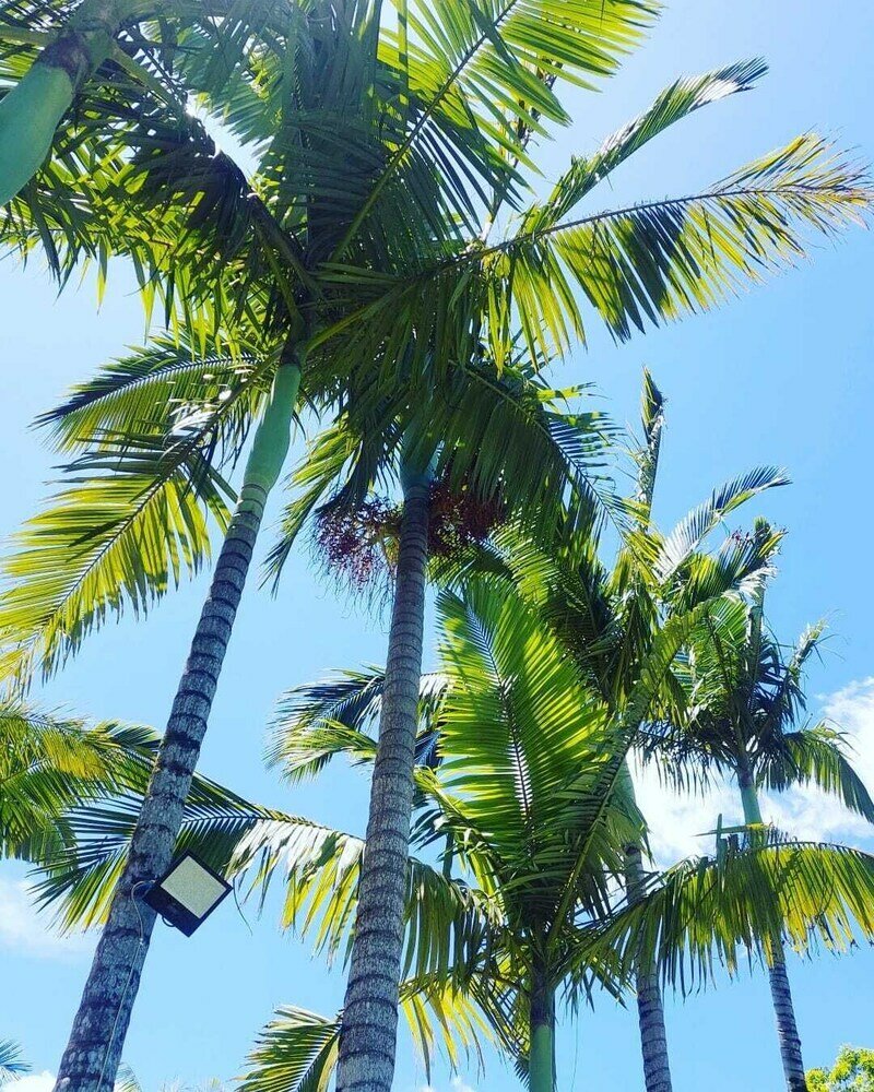 Фото Sitio do vô Pisco