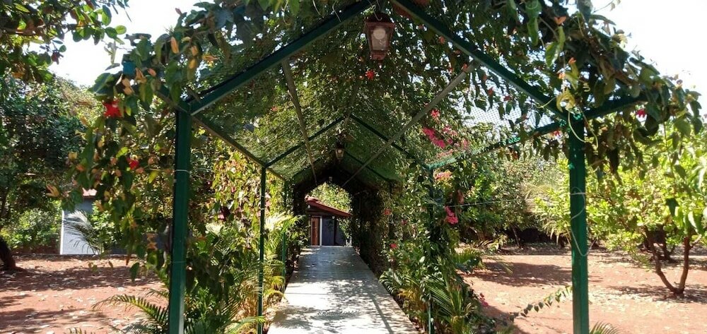 Фото D Star Entertainment Water ParkAndResort