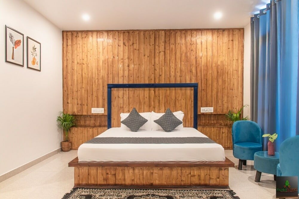 Фото The Cloud Berry