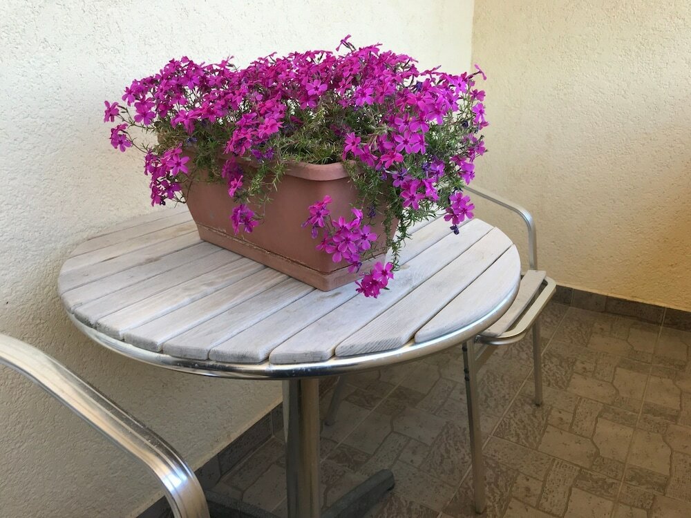 Фото Apartments Tarcizio