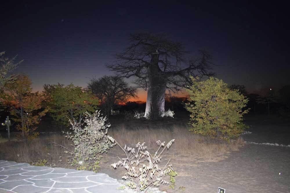 Фото Chaixara Backpackers