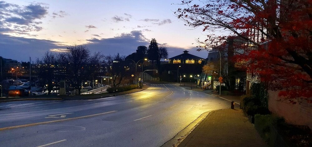 Фото Painted Turtle Guesthouse