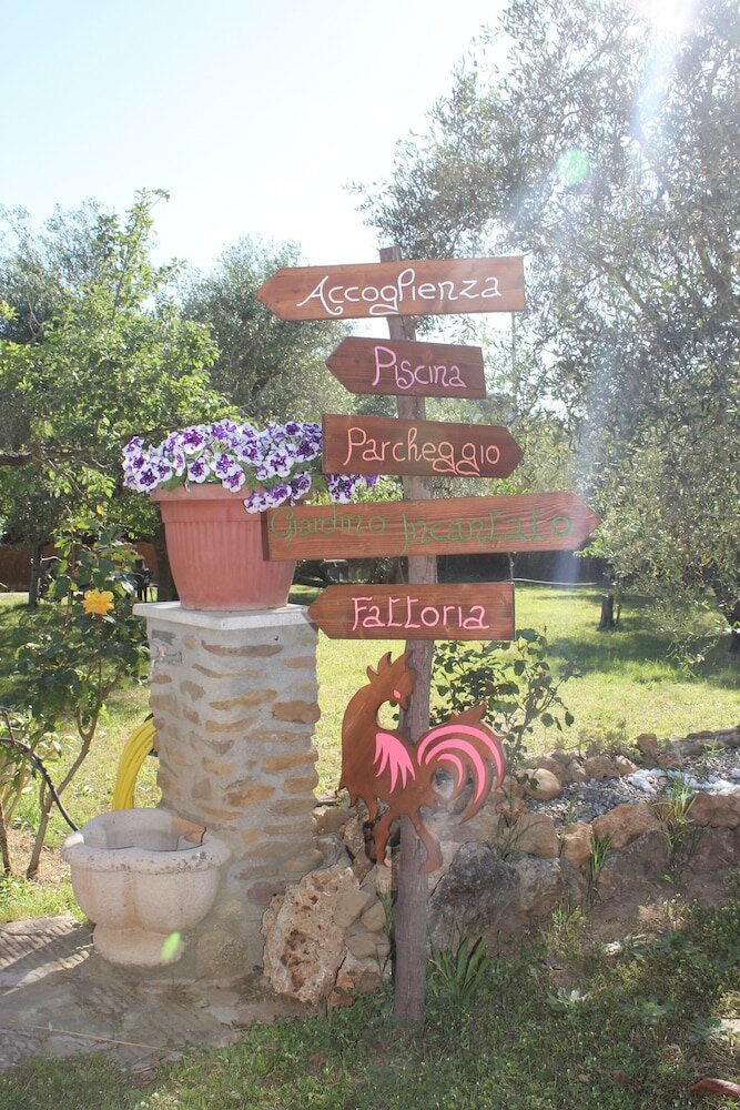 Фото Buen Camino Ssa