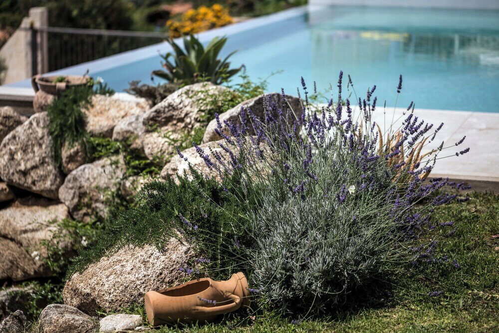 Фото Francesco and Michaela Villas