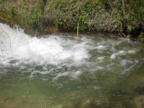 Фото Camping Pirinenc