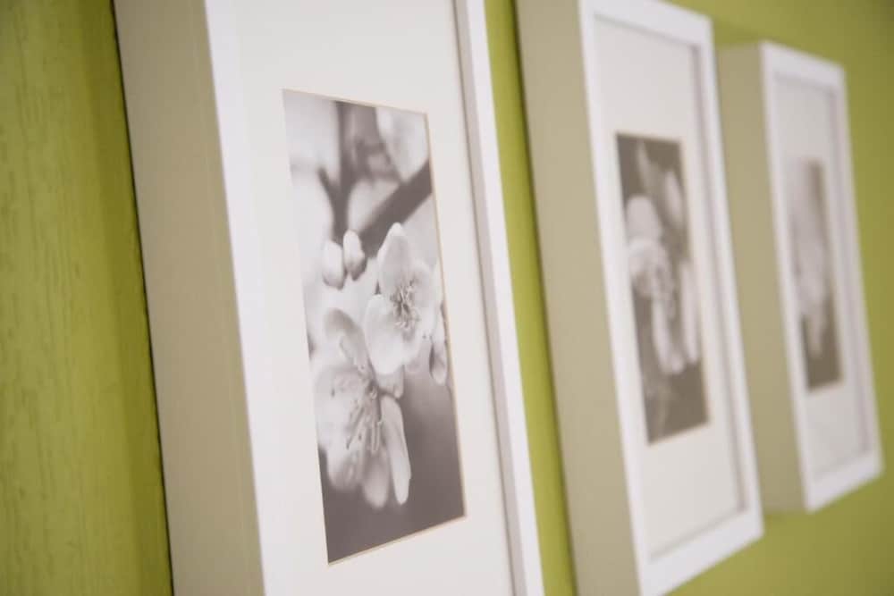 Фото Bloemenweelde