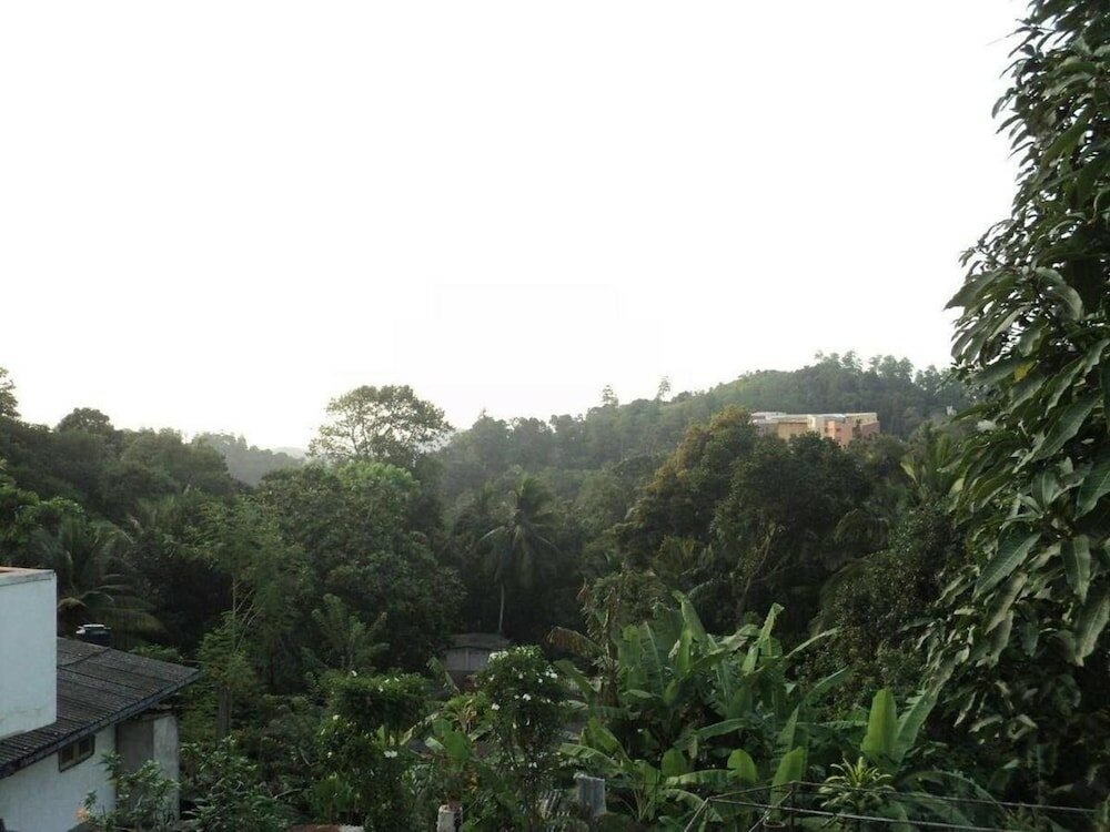 Фото Suisse Villa