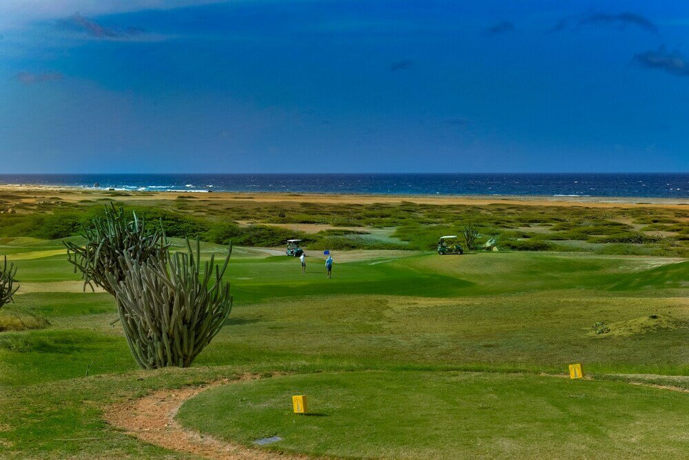 Фото Newly Remodeled 5-bedroom 5-bath in Tierra del Sol!