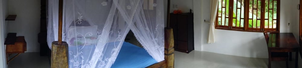 Фото Hotel Orangutan