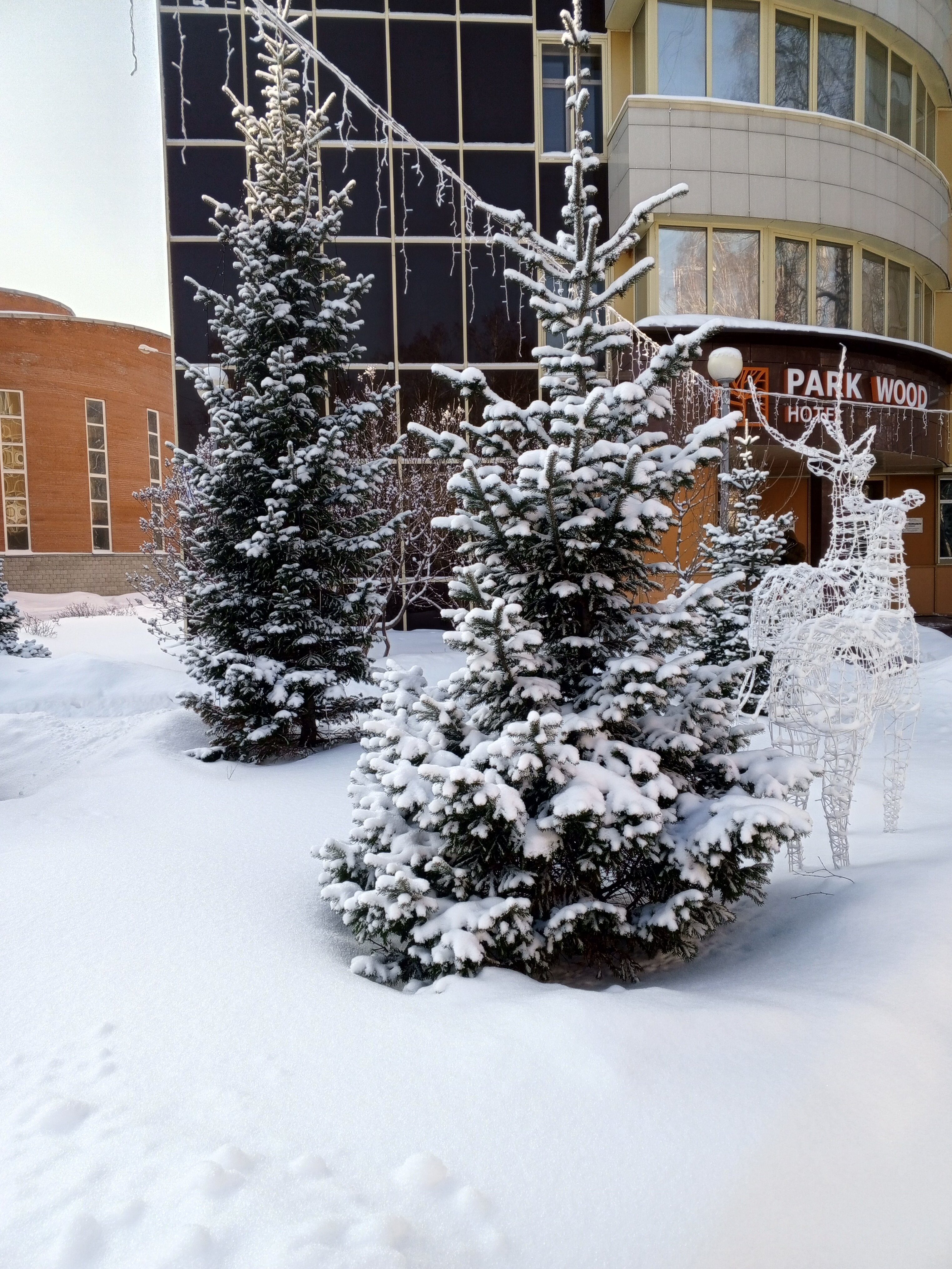 Фото Park Wood Hotel