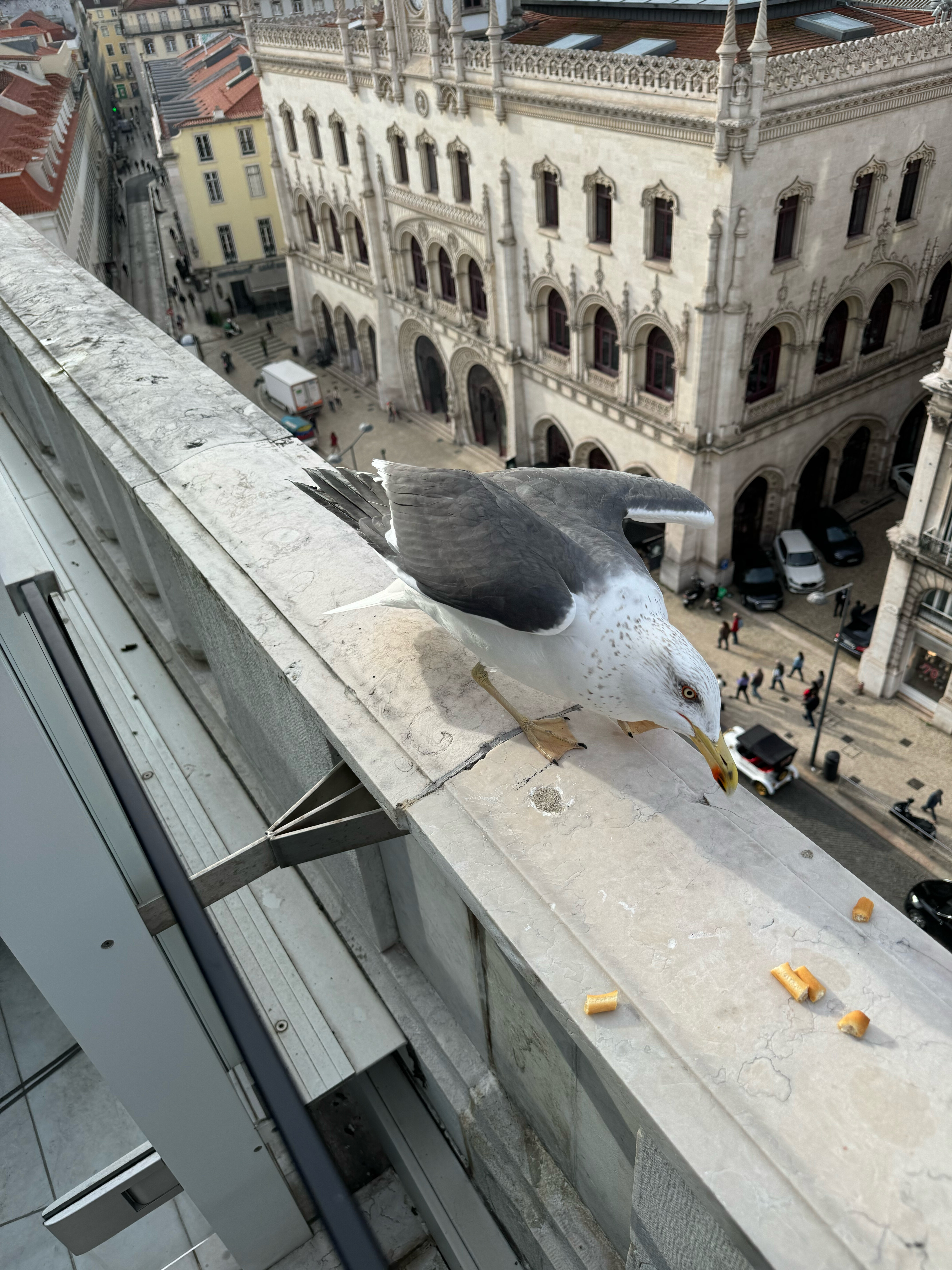 Фото Altis Avenida Hotel