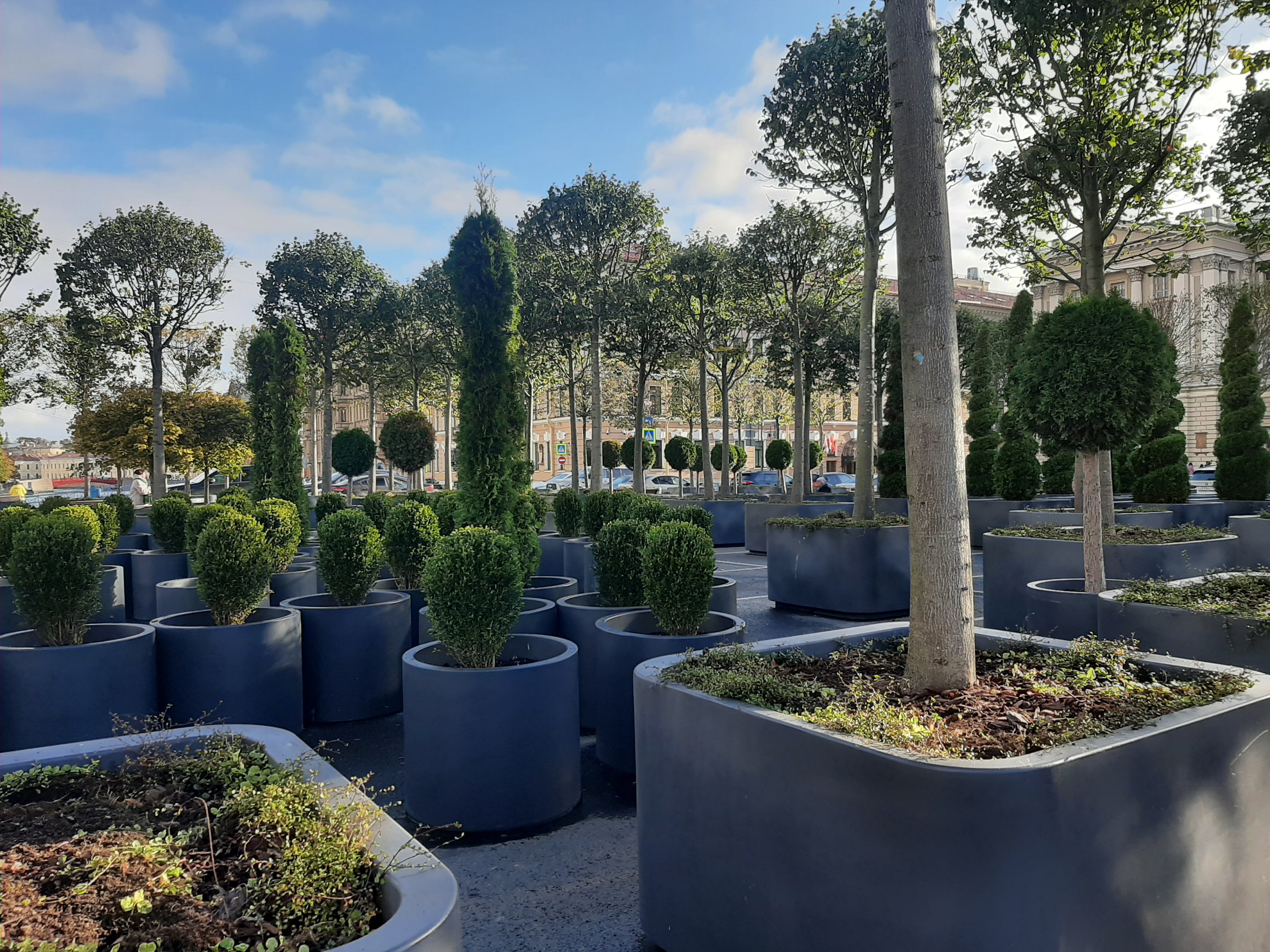 Фото Дельта Невы