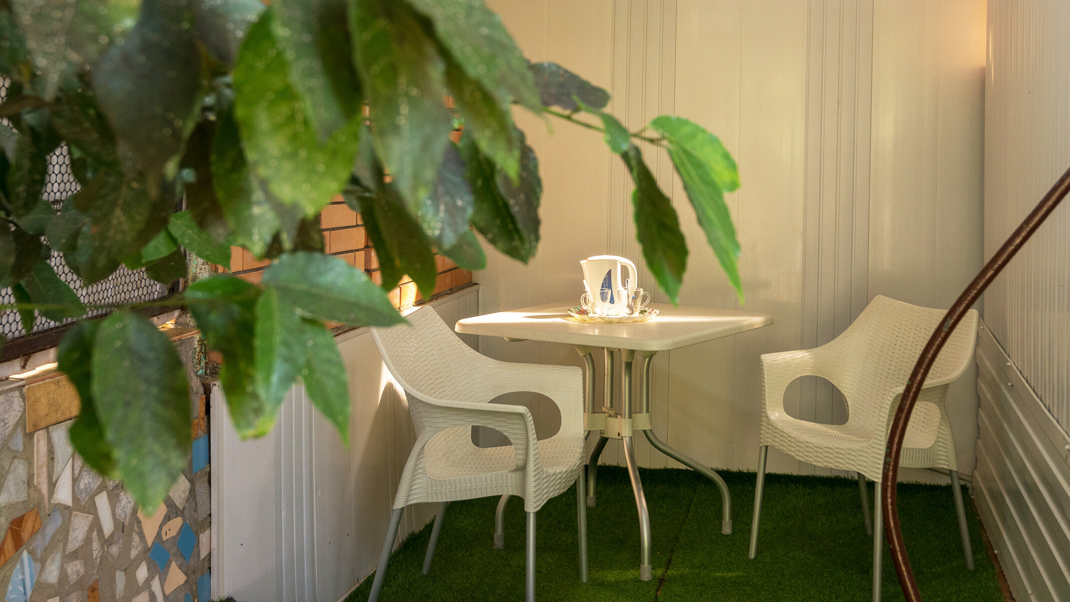 Фото Апельсин