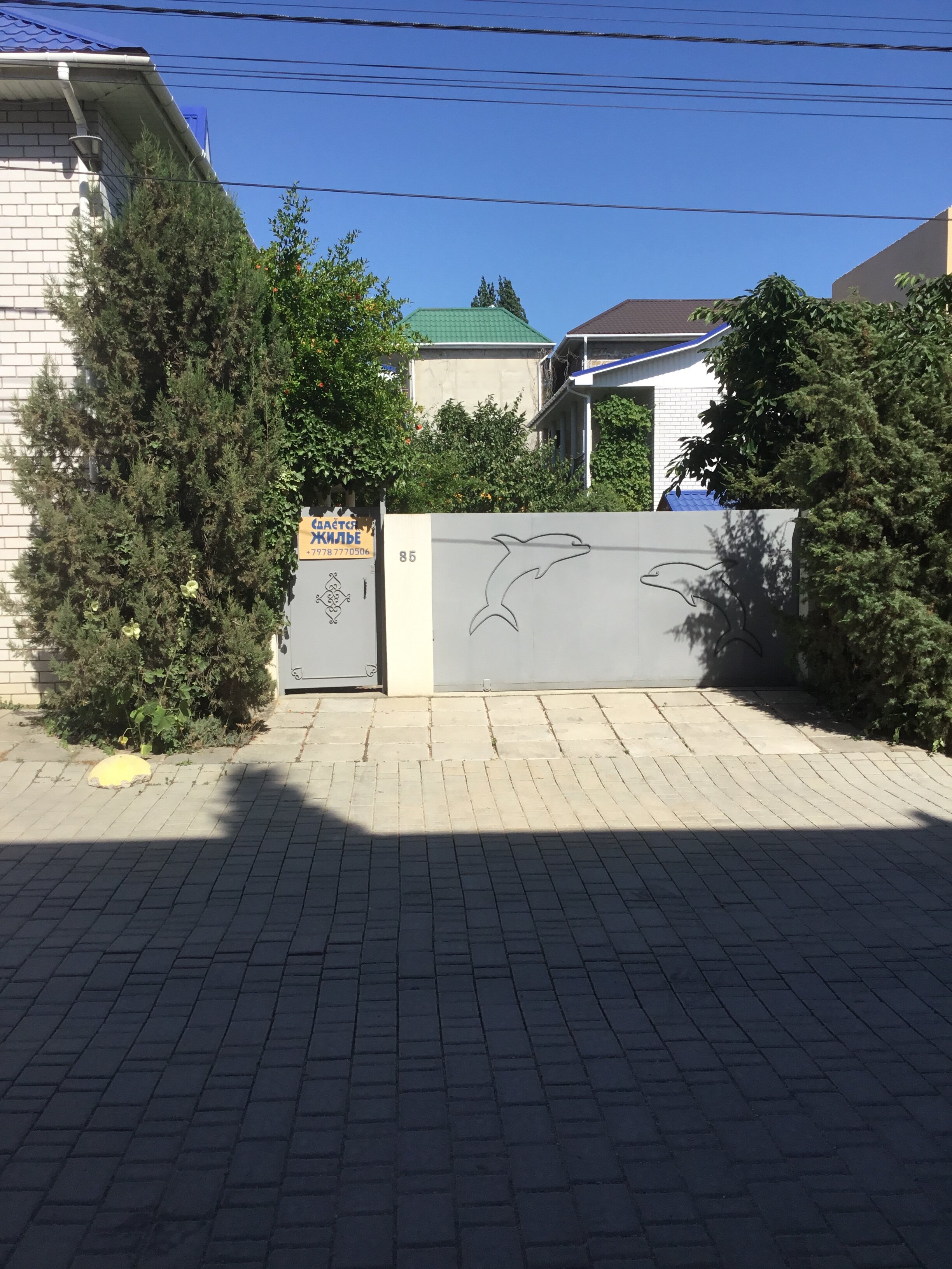 Фото Михалыч