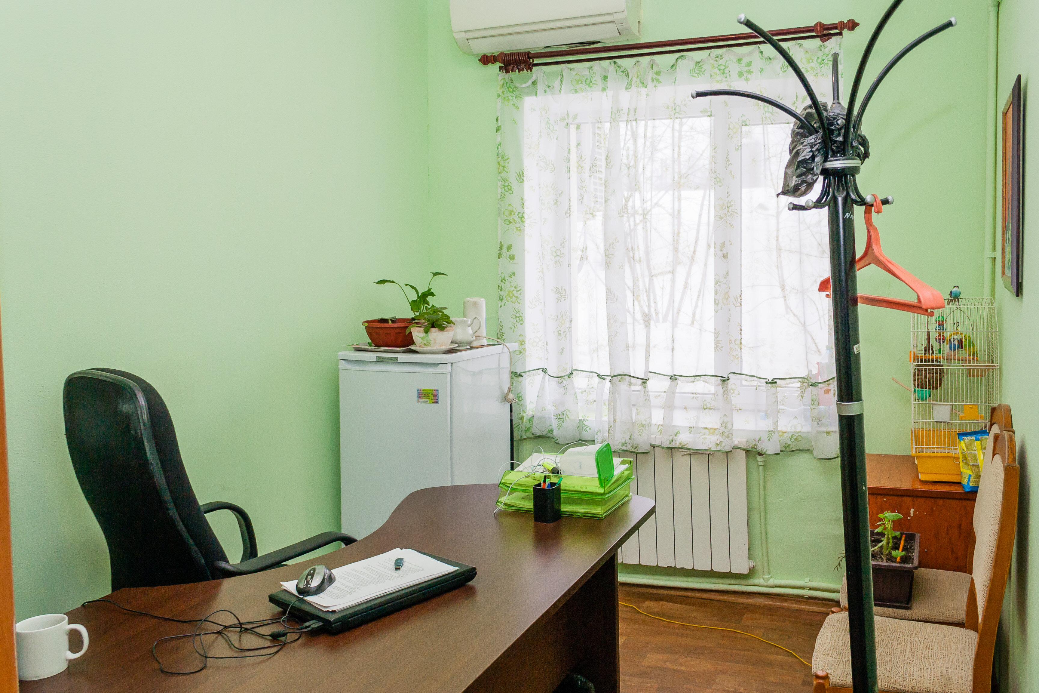 Фото Царицыно на Радиальной