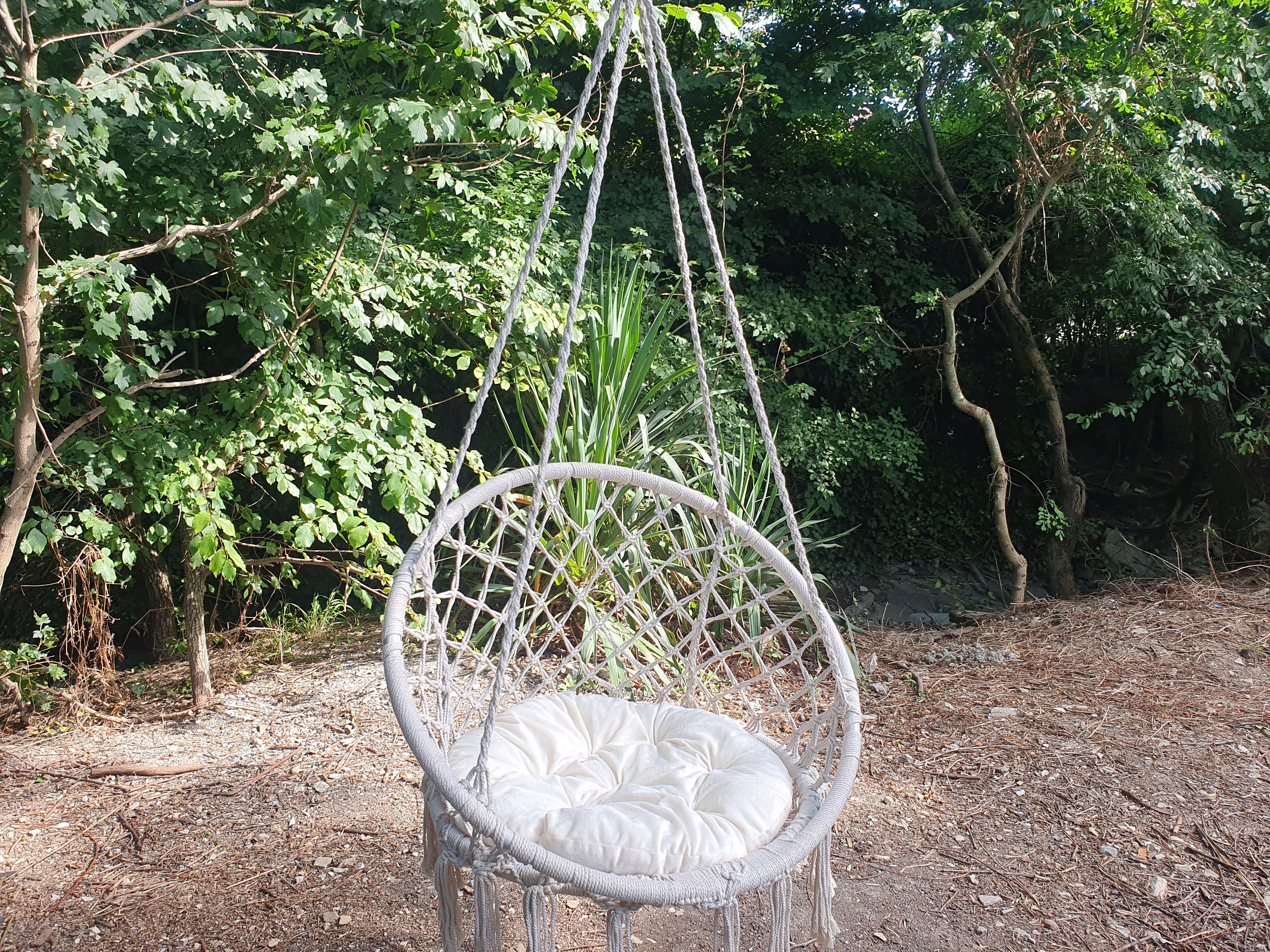 Фото Барсук