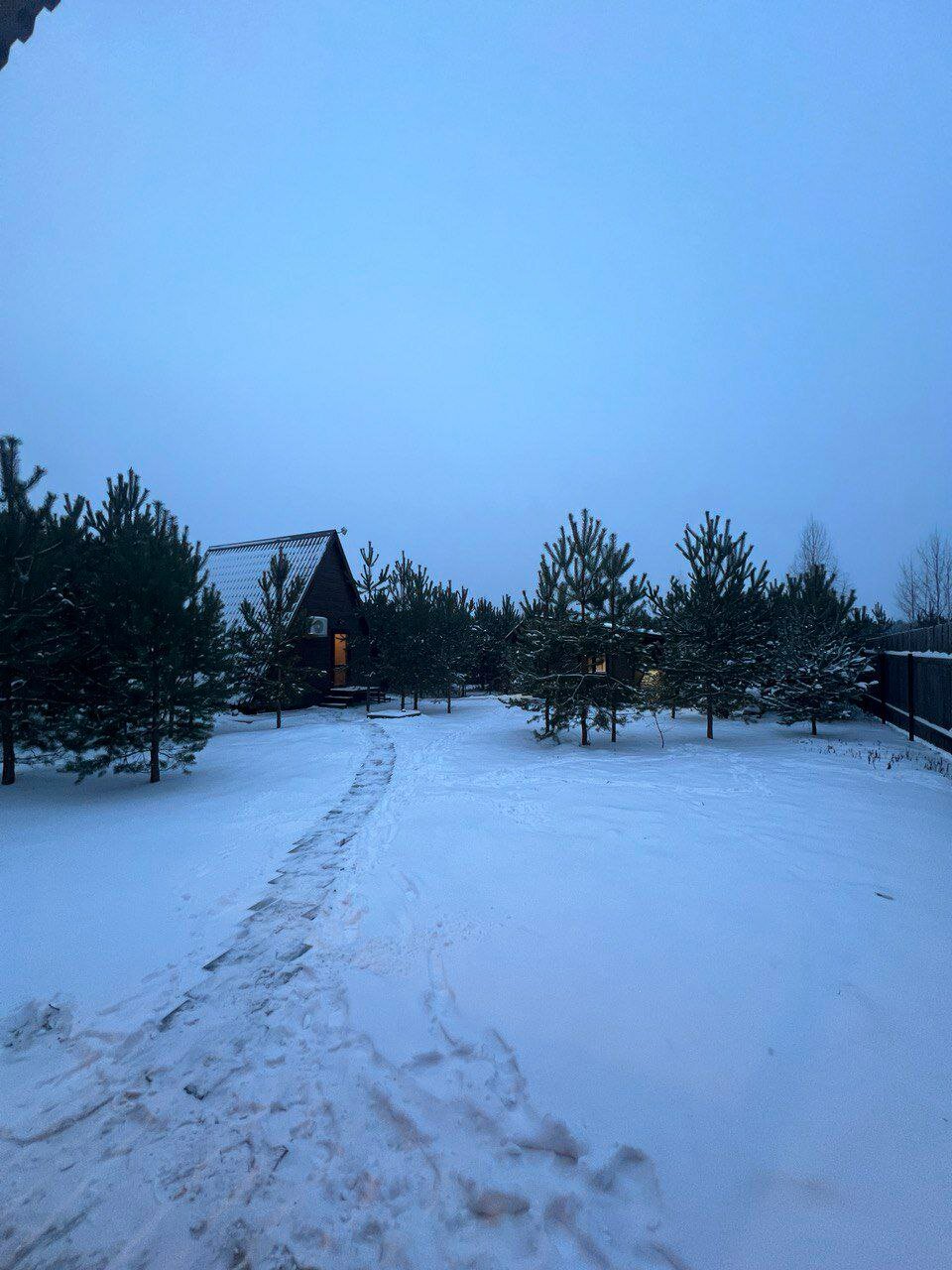 Фото Forest camp