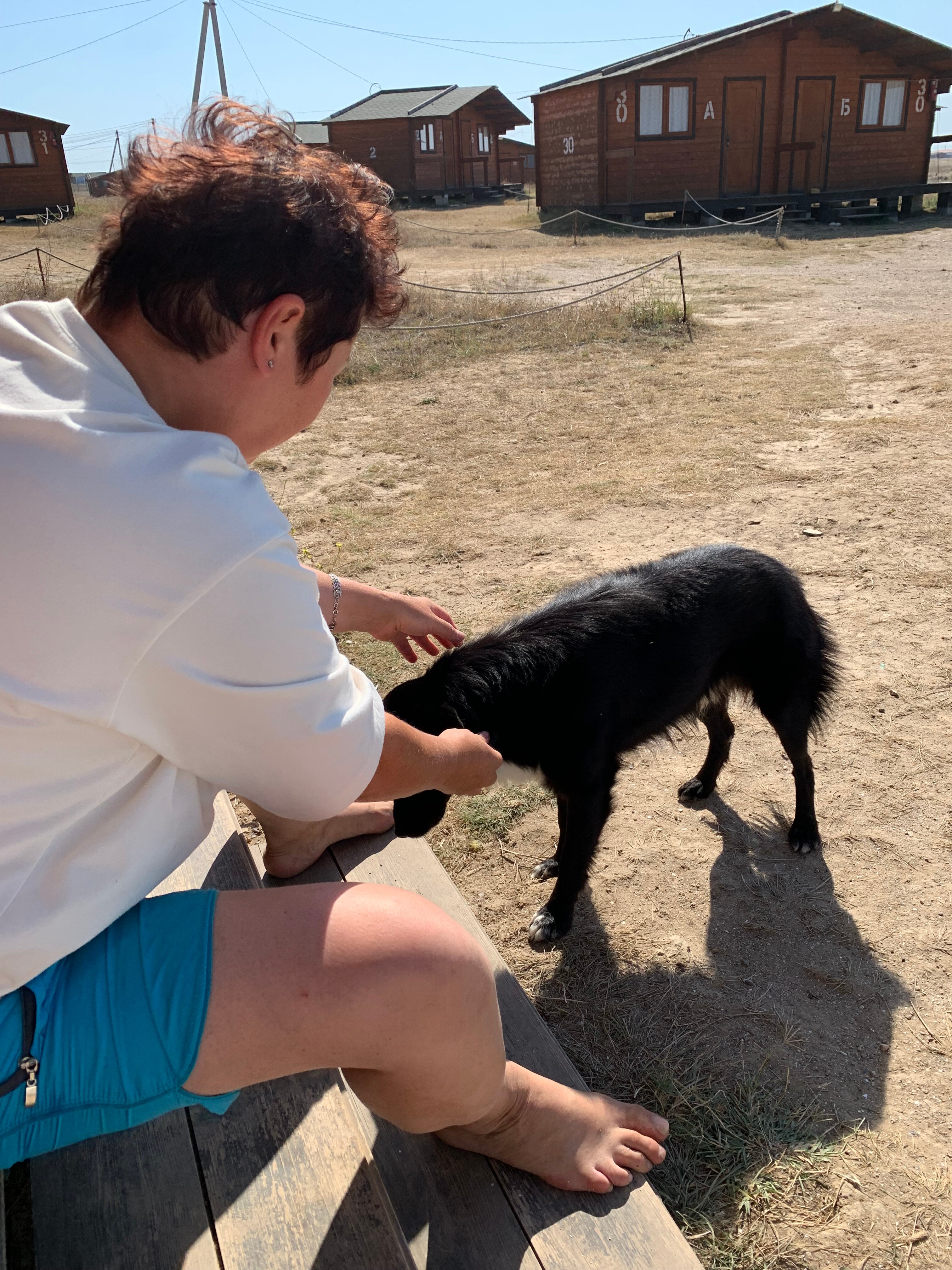 Фото Olenevka Village