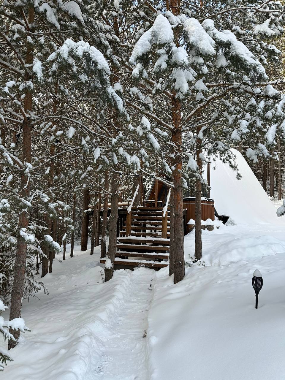 Фото Хвойная Хижина