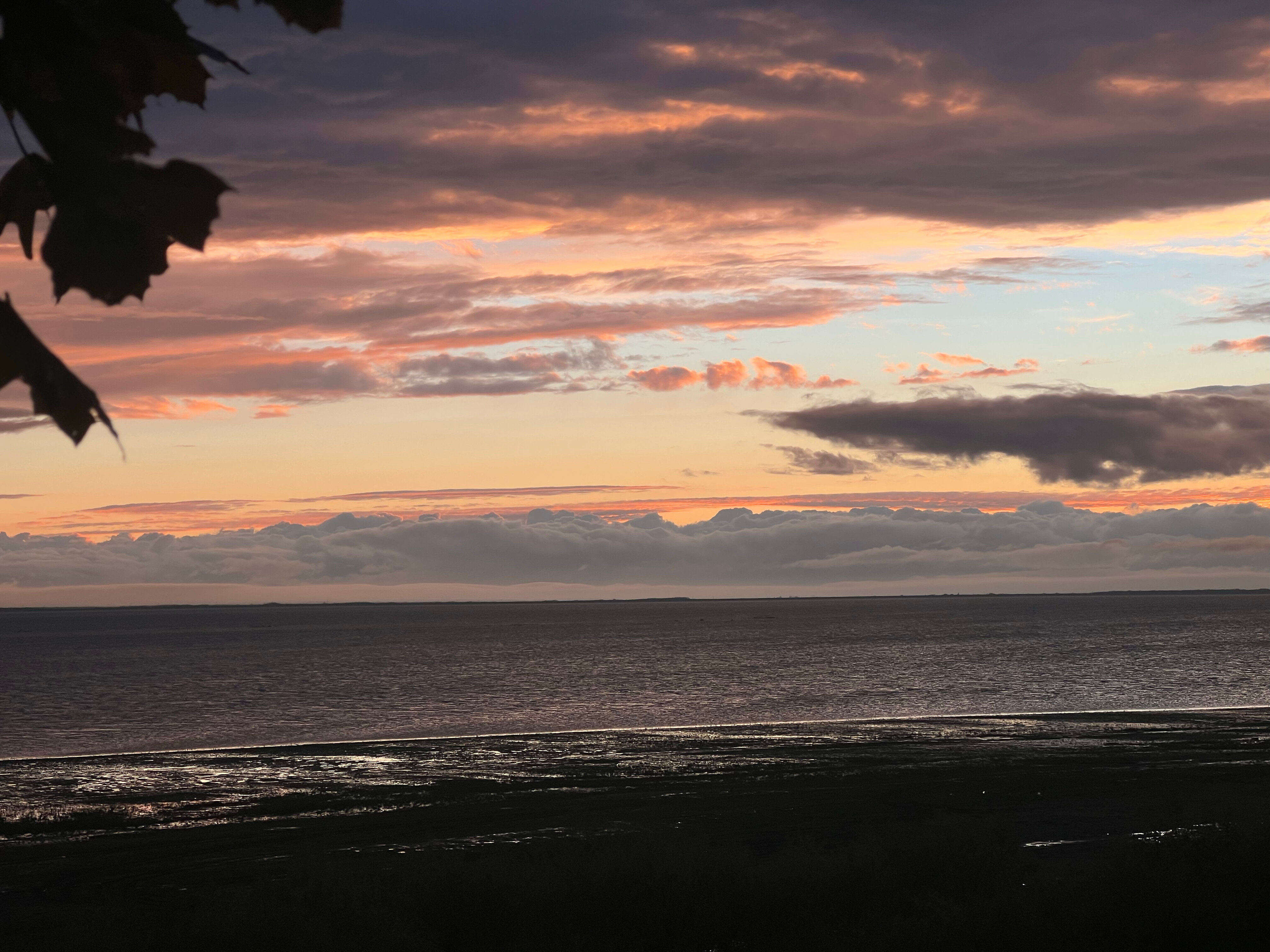 Фото Лесная сказка