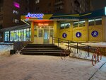 ElkaCity (Karla Libknekhta Street, 7), christmas trees and christmas decorations