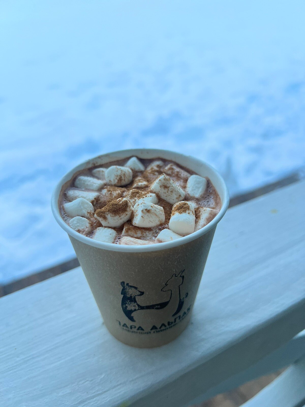 Фото Пара Альпак