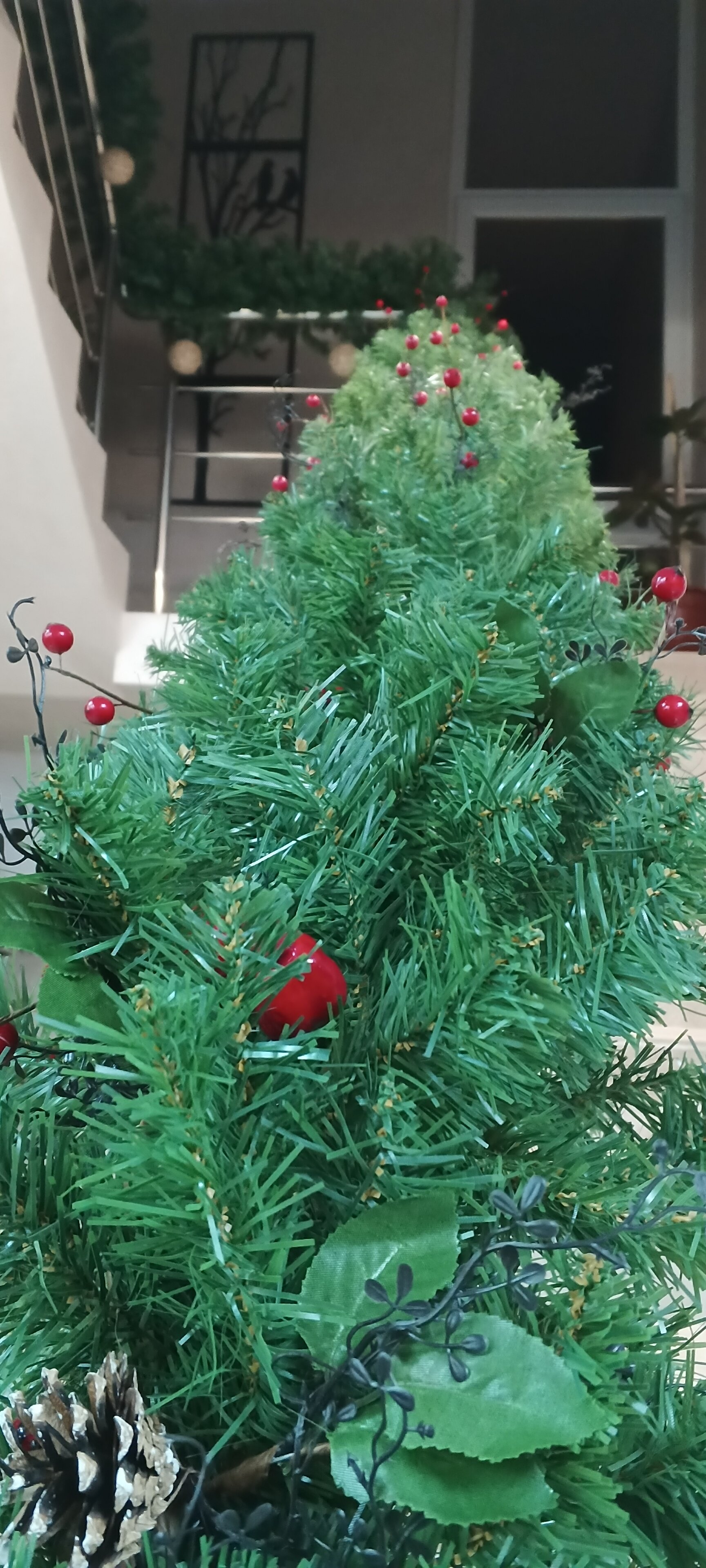 Фото Атмосфера