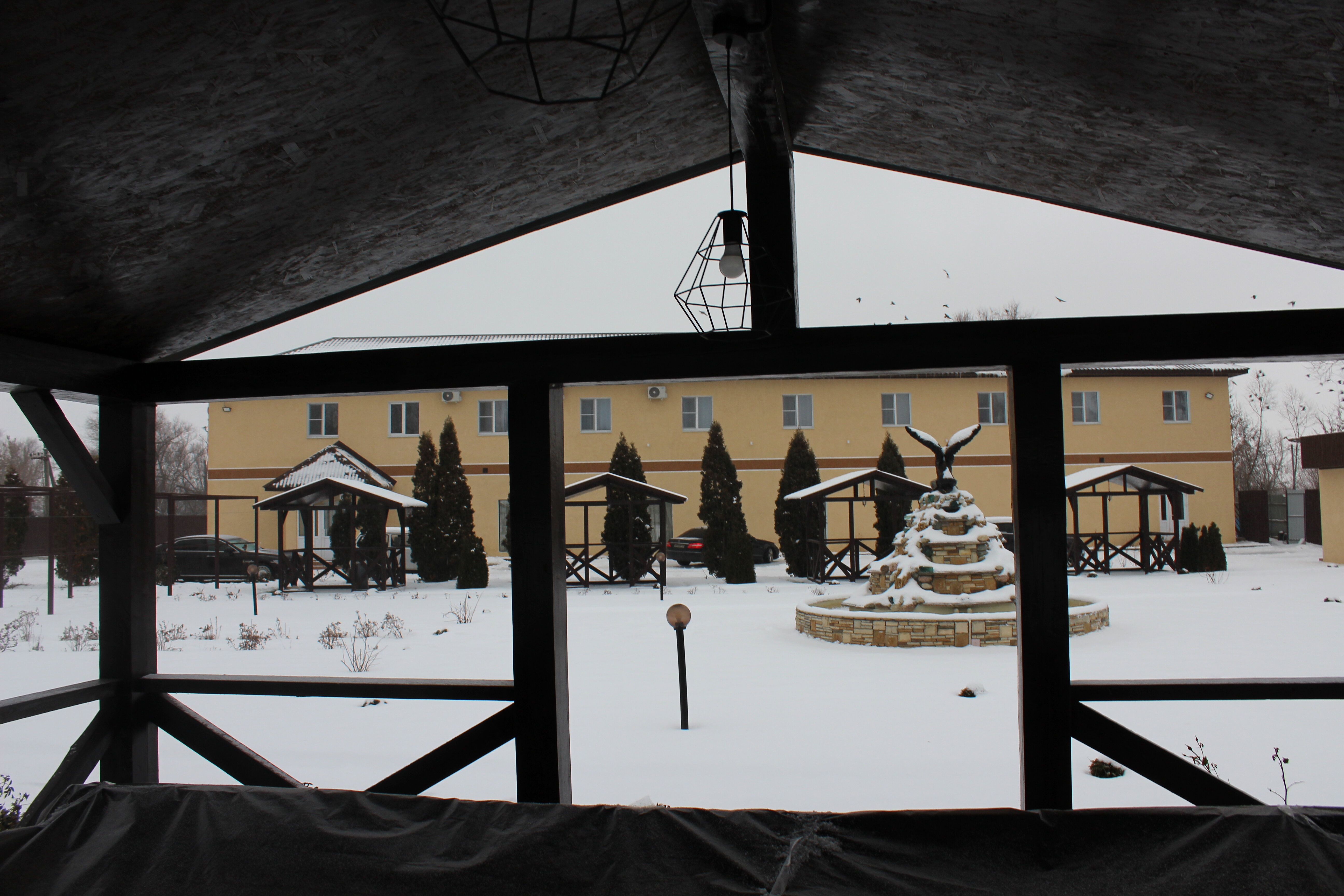 Фото Александрия