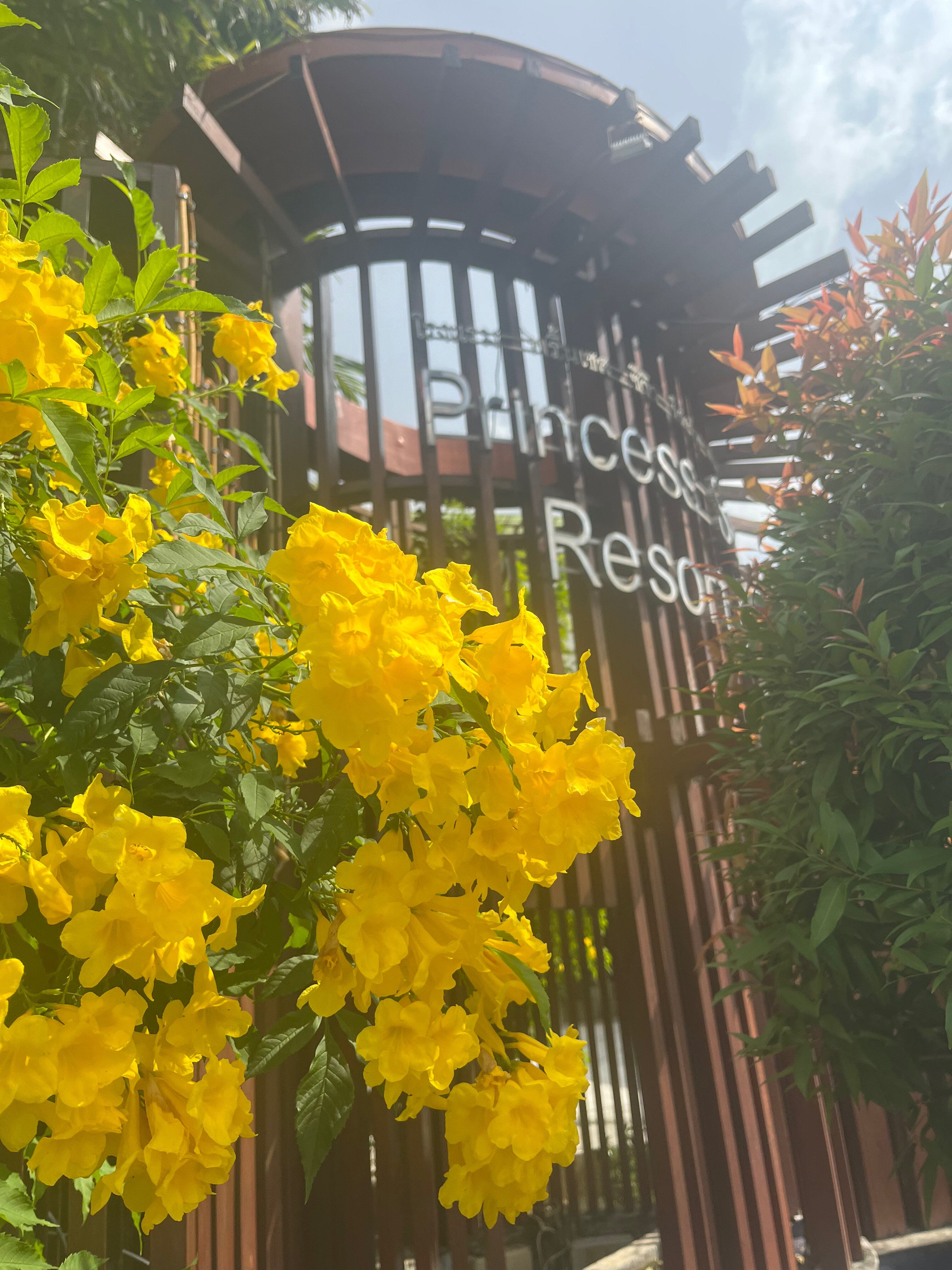 Фото Princess Seaview Resort & SPA