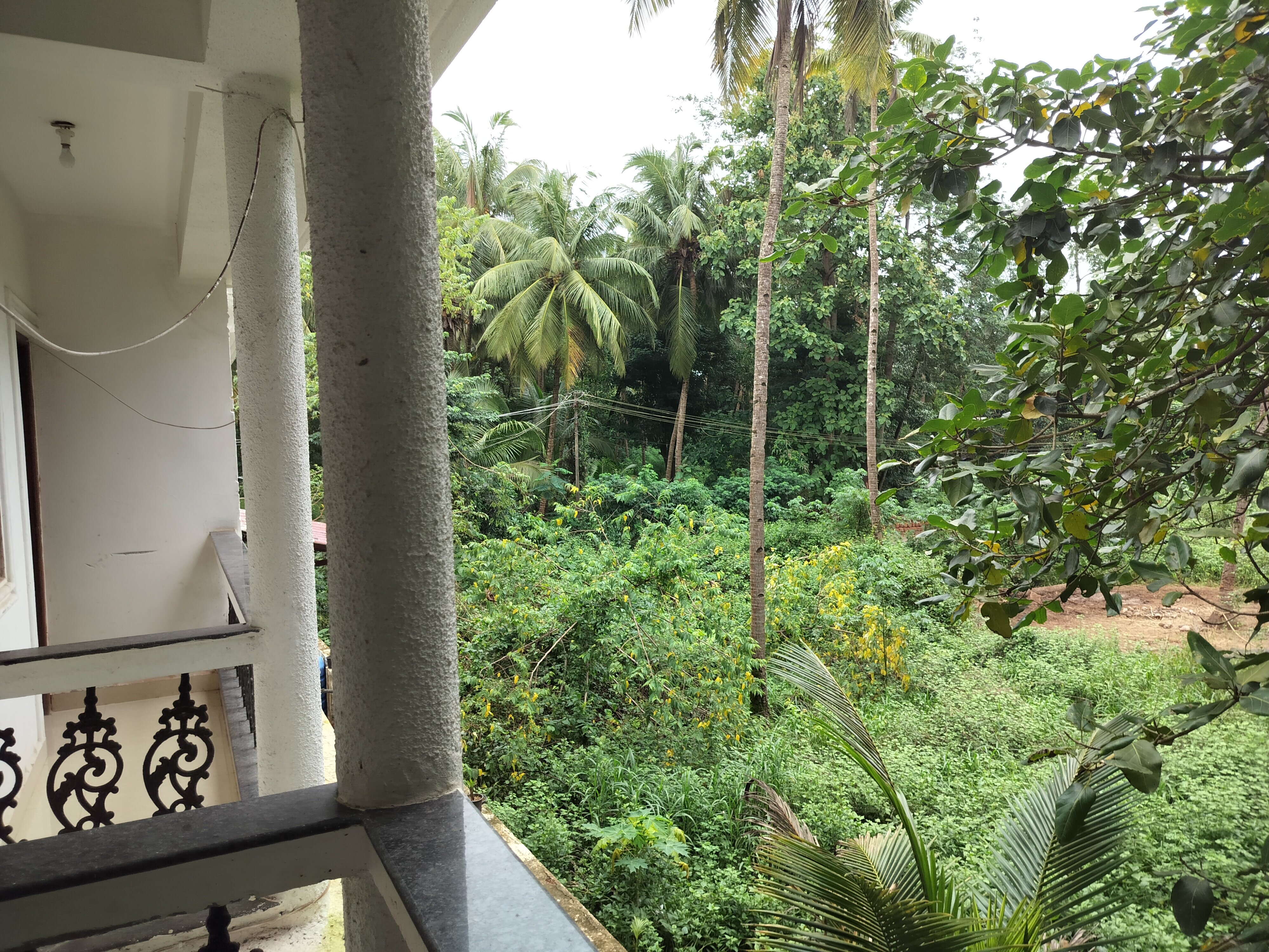 Фото Гостевой дом The Sequeira Goa