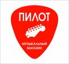 pilotmi.ru