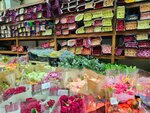 Flowers Iris market (Prosvescheniya Avenue, 41), flower market