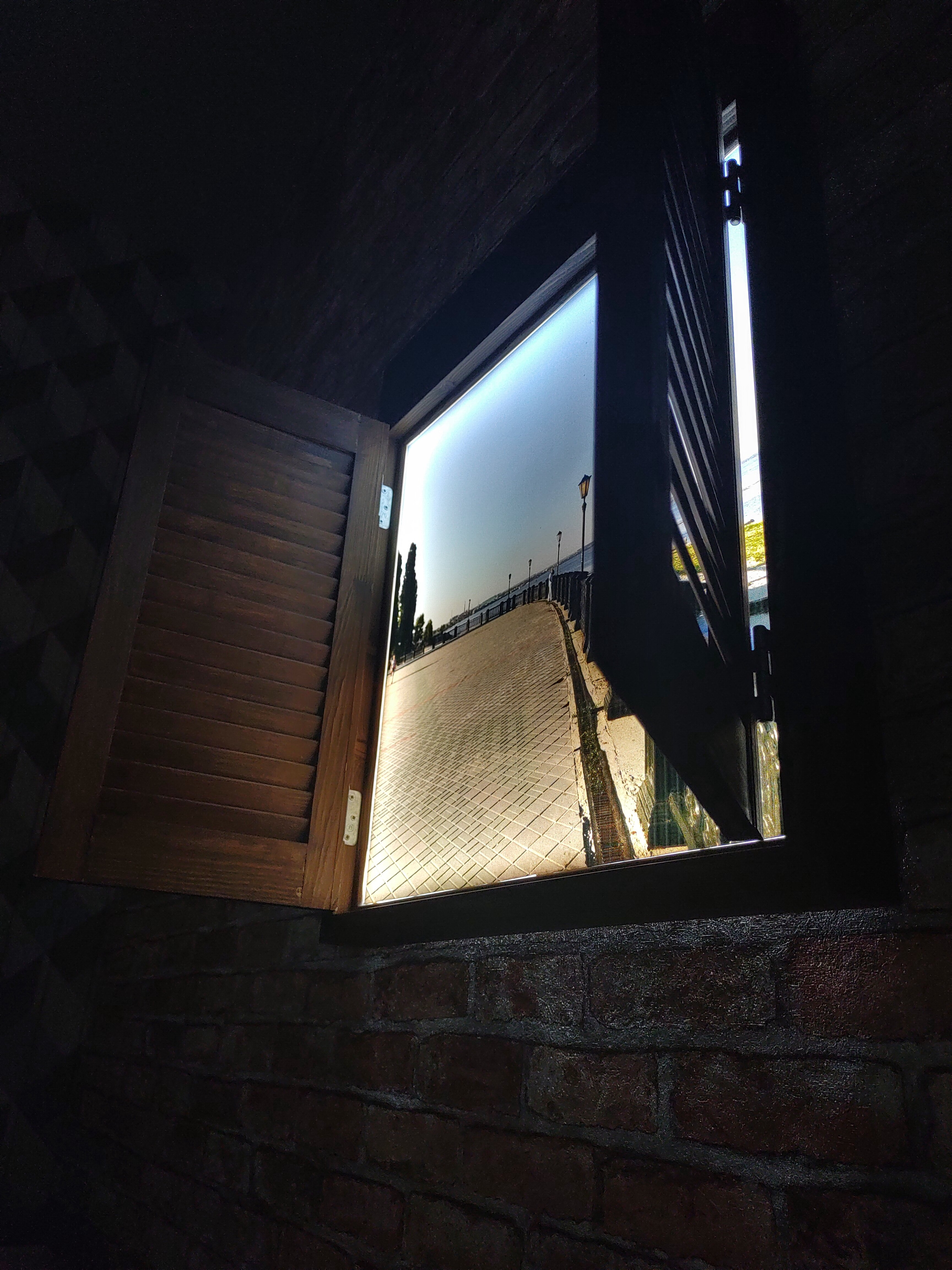 Фото Наутилус