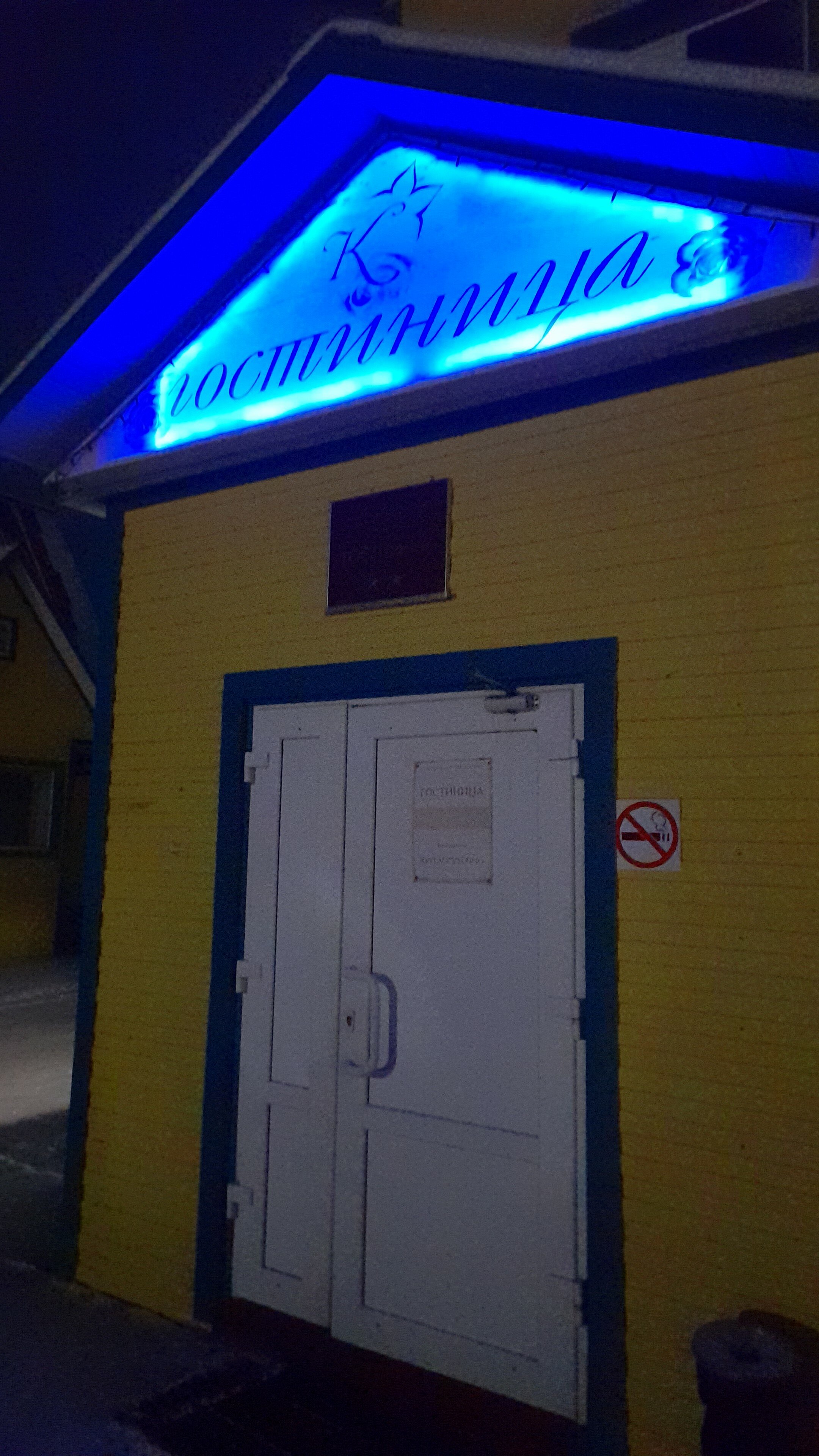 Фото Камелия