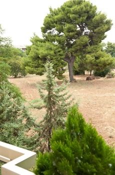 Фото Urban Residence