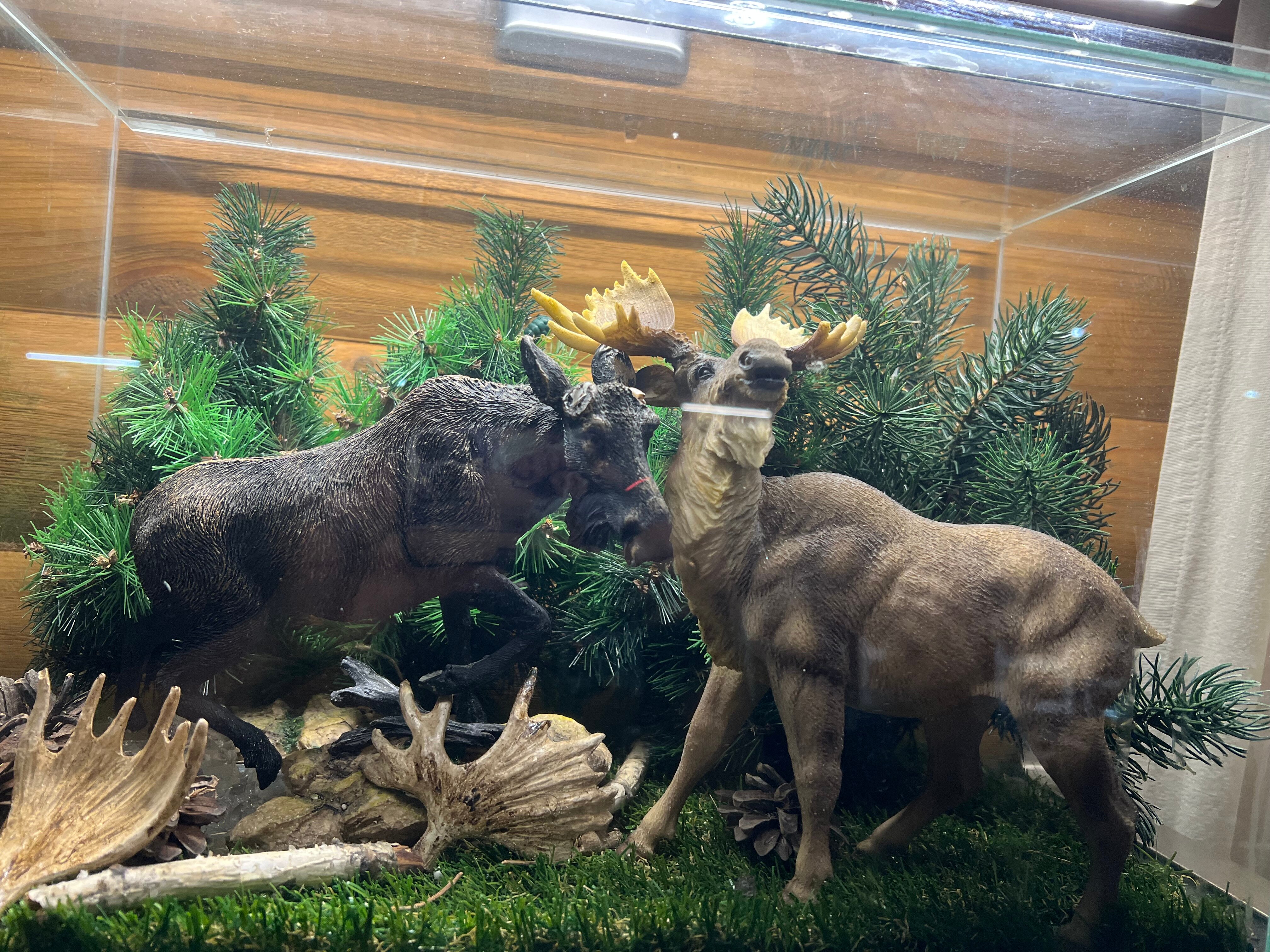 Фото Парк-отель Шишка