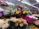 Планета цветов (Беломорская ул., 40), магазин цветов в Москве