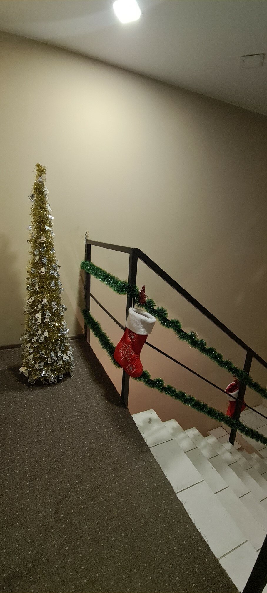 Фото Элегант