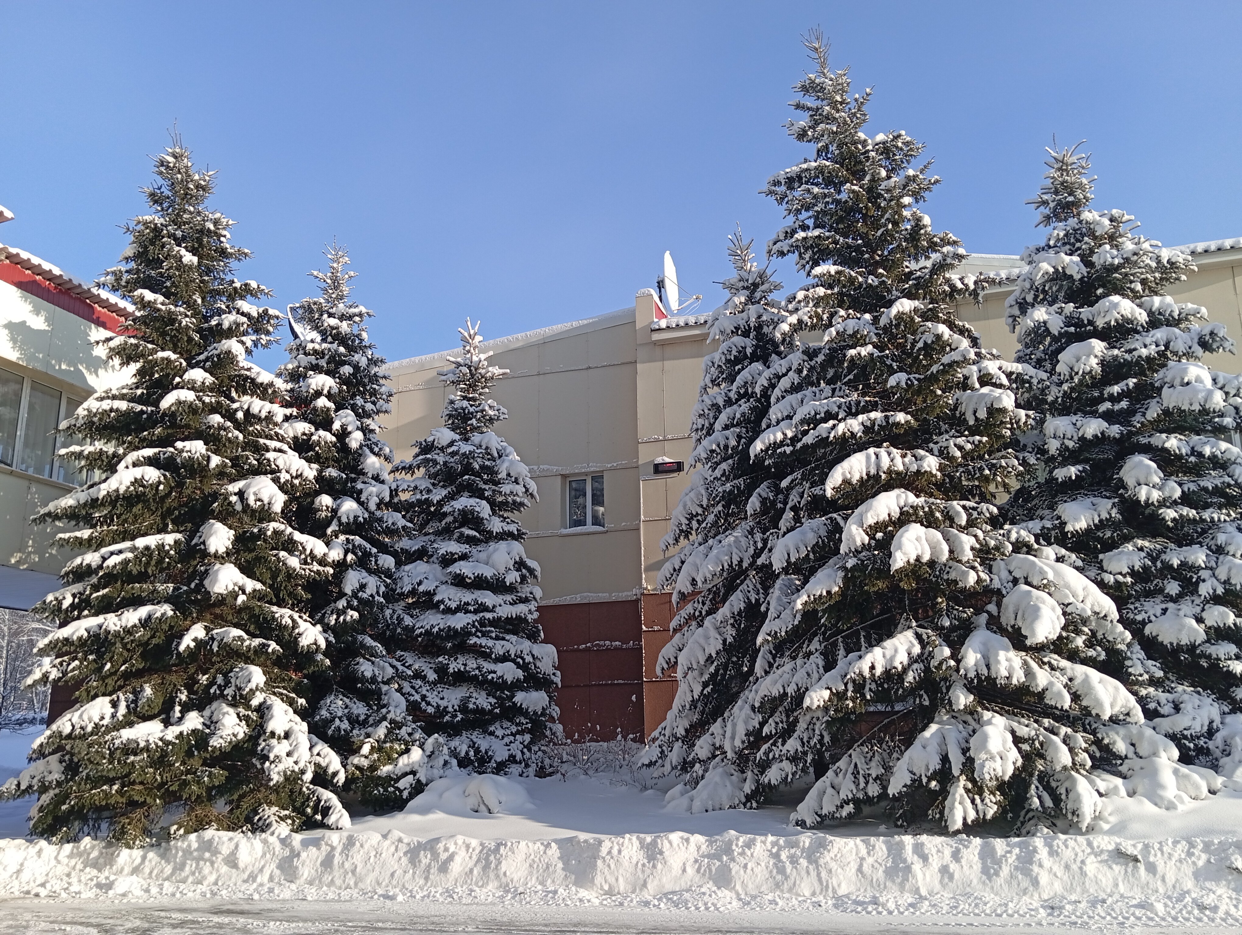 Фото Борисовский