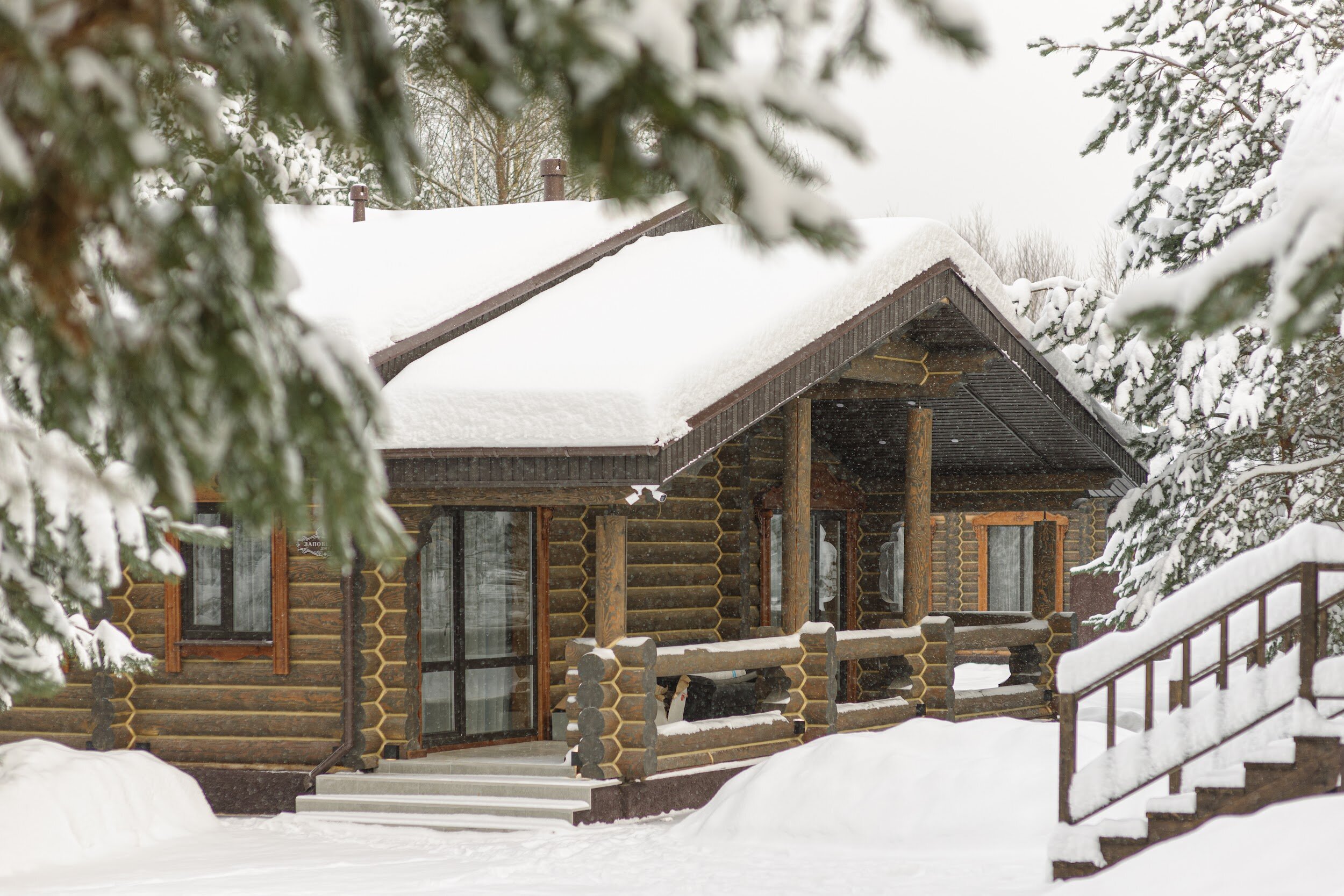 Фото Заповедное