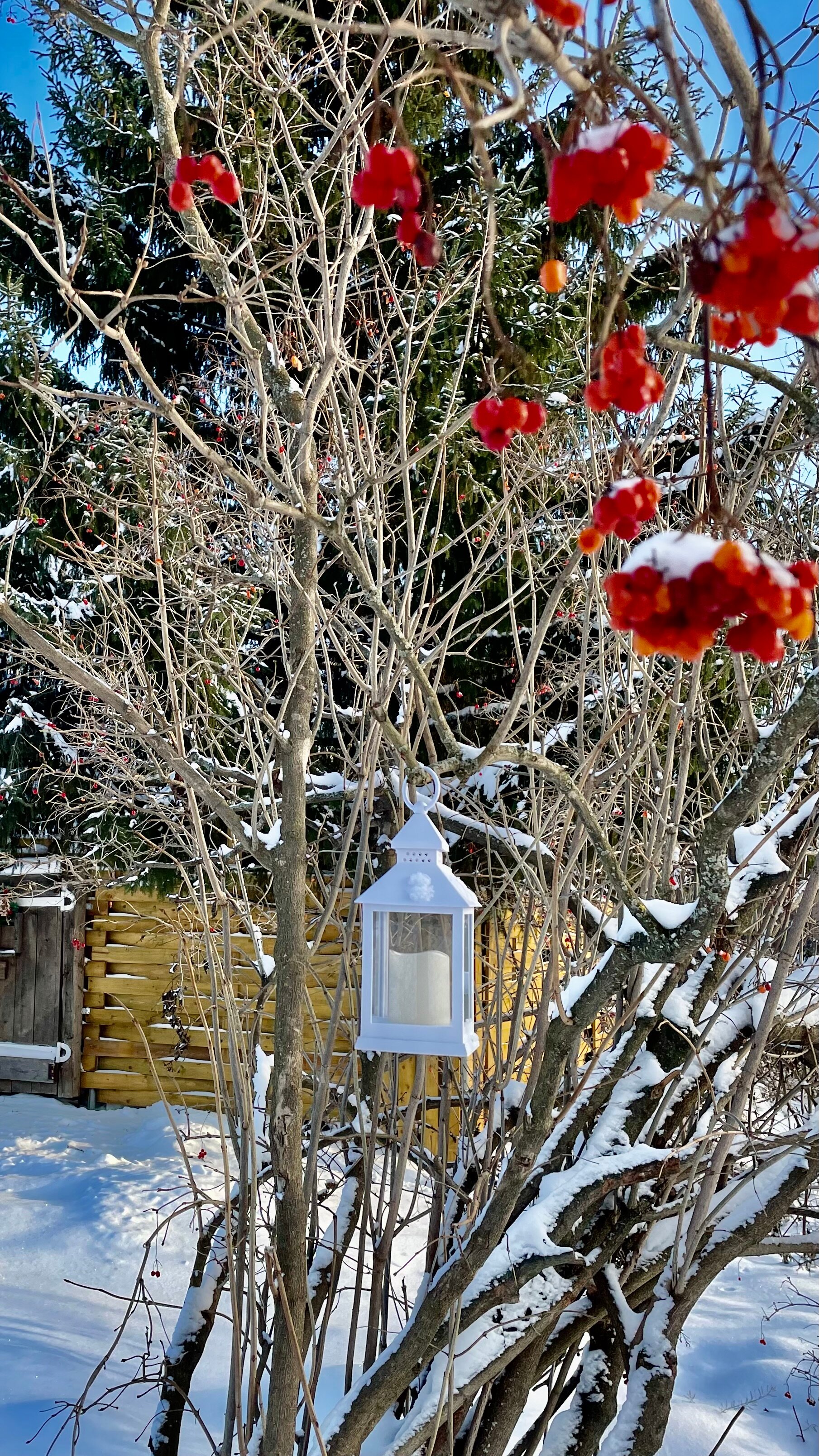 Фото Гари Хутор