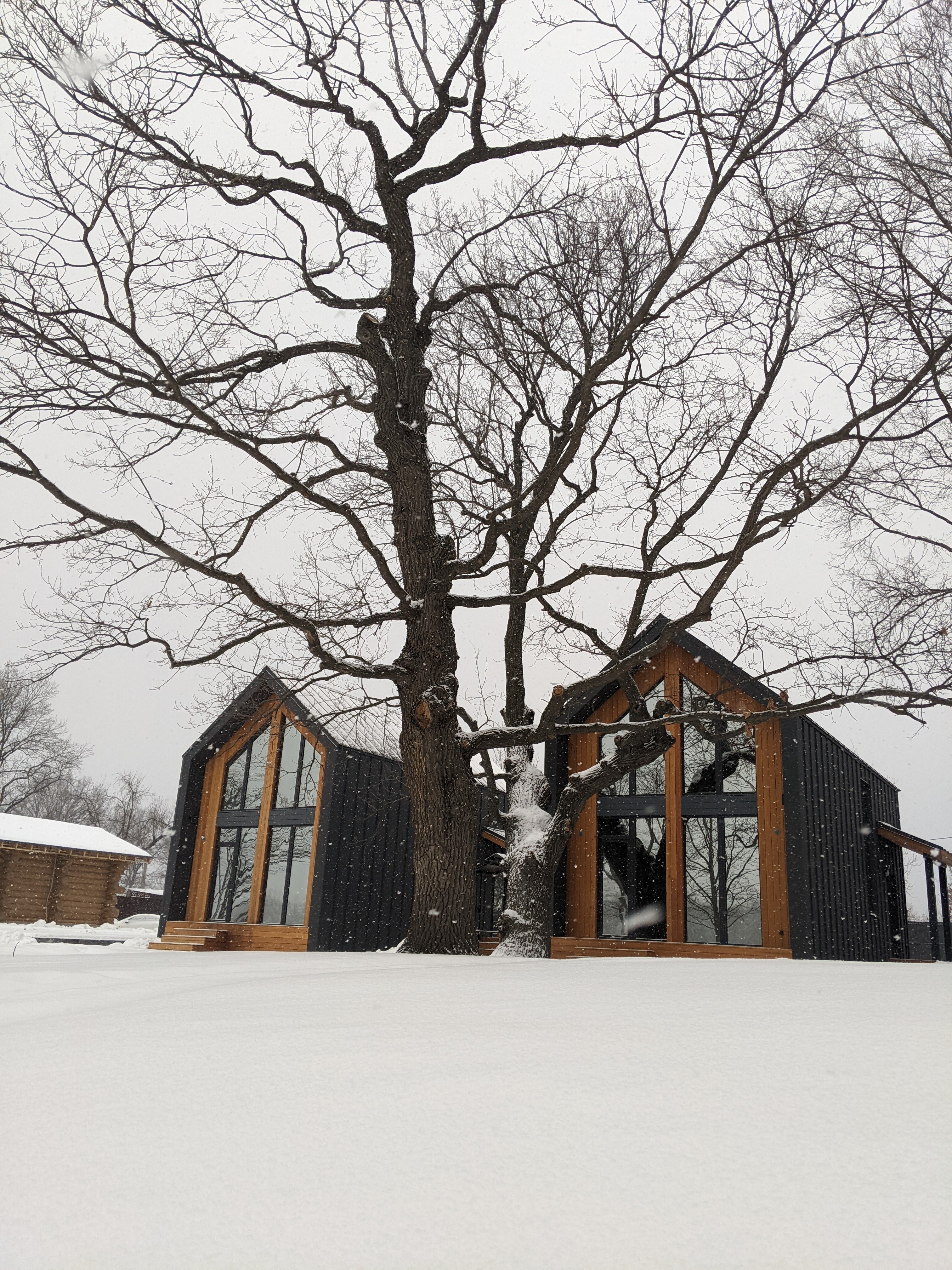 Фото Природа